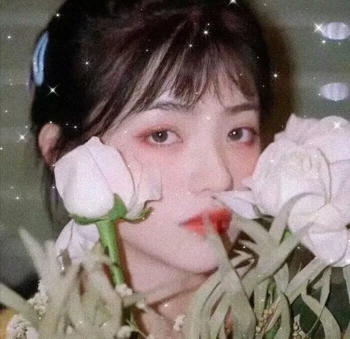 逐星女第一季
